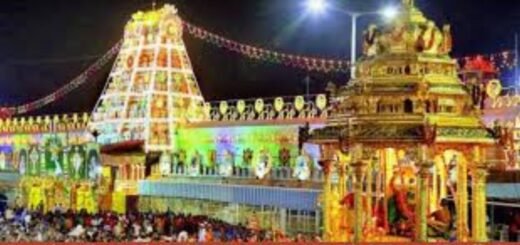 Devotees participating in Vaikunta Ekadasi celebrations at Tirumala temple