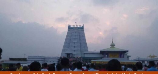 Devotees participating in Pournami Garuda Seva at Tirumala during Magha Purnima