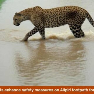 TTD officials monitoring safety measures on Alipiri footpath