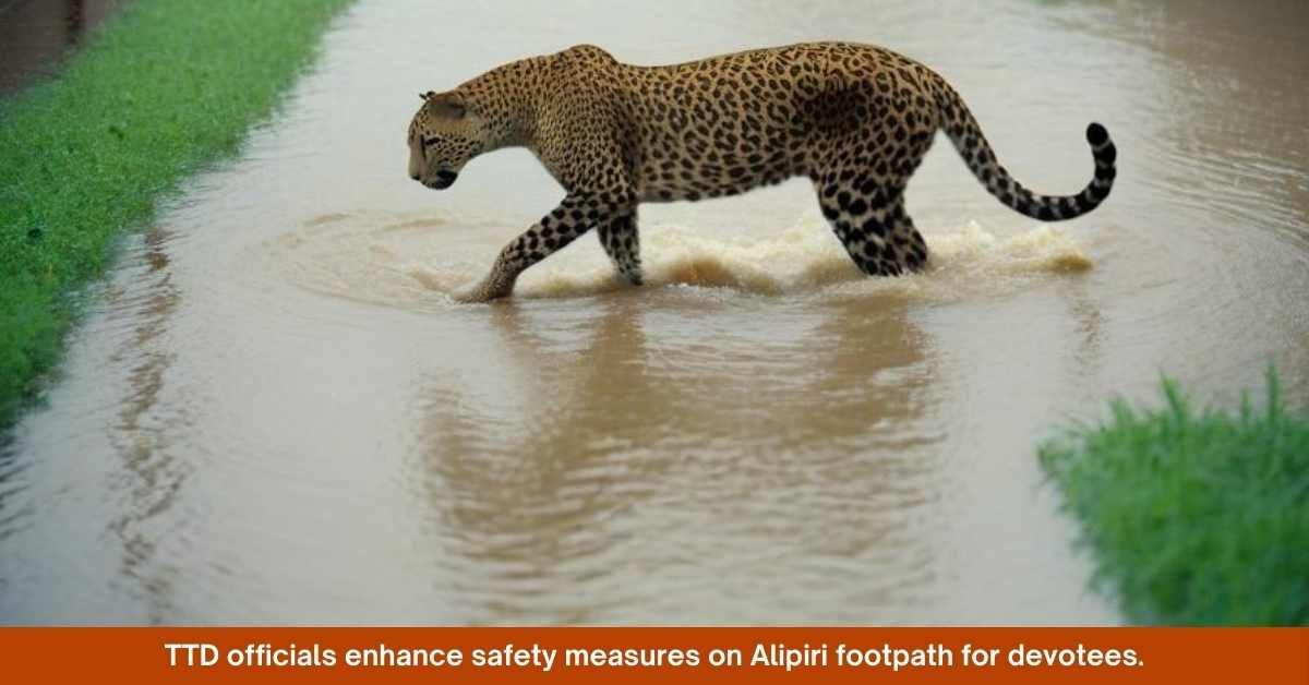 TTD Enhances Safety Measures for Devotees on Alipiri and Srivari Mettu Routes