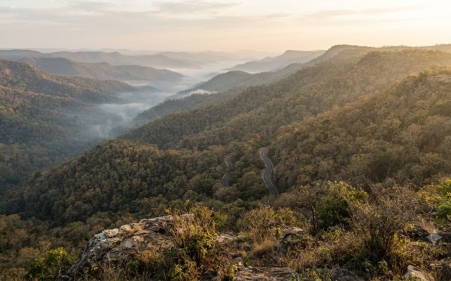 TTD Biodiversity Conservation: Inside Tirumala’s ₹4 Crore Forest Plan