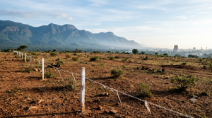 TTD Coimbatore land donation site at Kovaipudur near the Western Ghats foothills