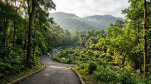 Forested walking trail at one of the wildlife parks in Tirupati near Seshachalam Hills